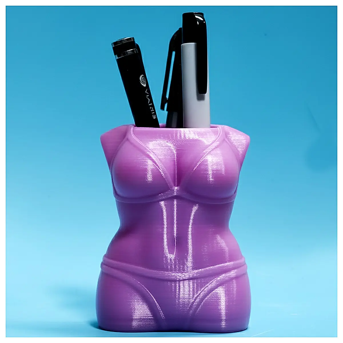 Bikini Pencil Case Swimsuit Organizer Holder Swimwear Storage Box Pool Accessories Swimsuit Case