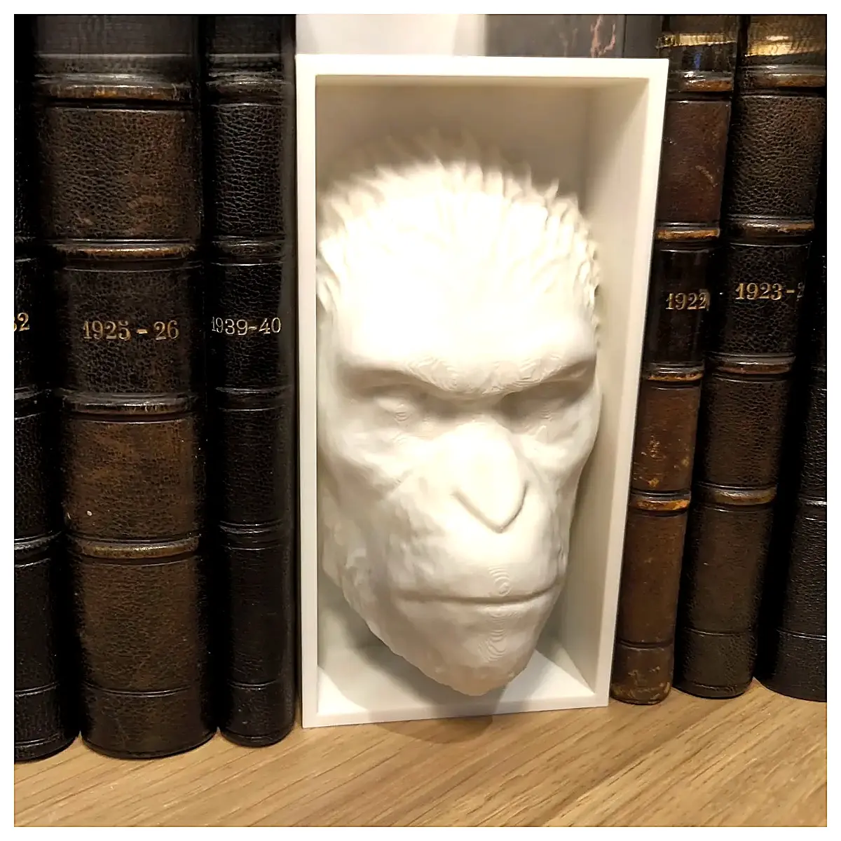 Monkey Planet Book Model Figurine Toy Collection Desktop Decoration Learning Tool Kids Puzzle Monkey Planet Book
