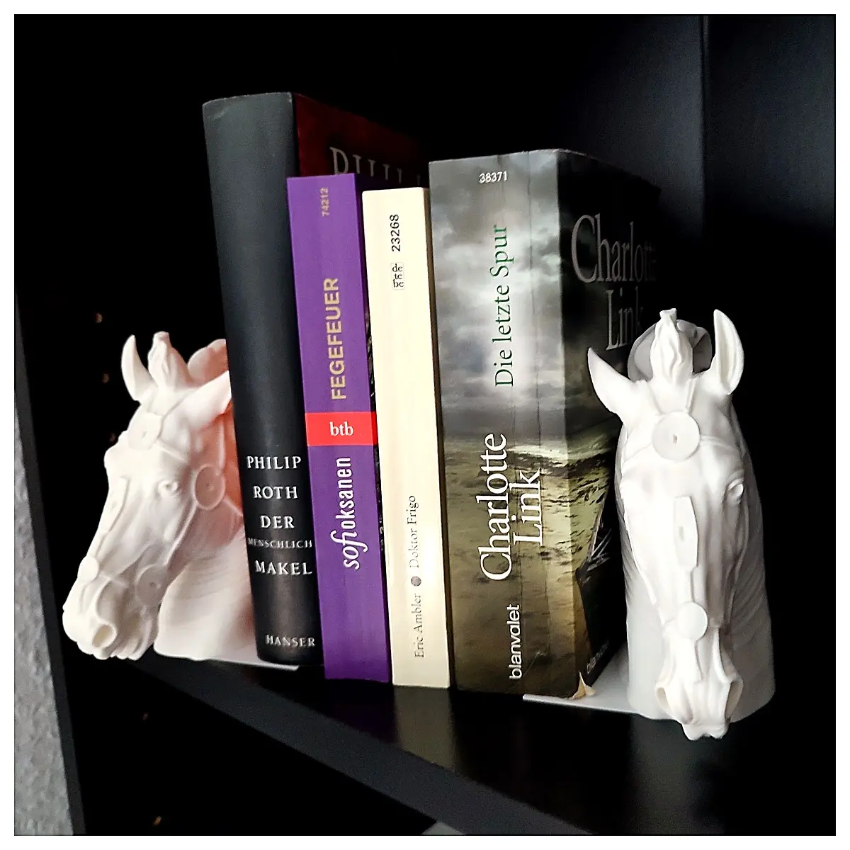 Foo Dog Sculpture Art Museum Collection Book Li Ancient Sculpture Art Collection Statue Art Piece