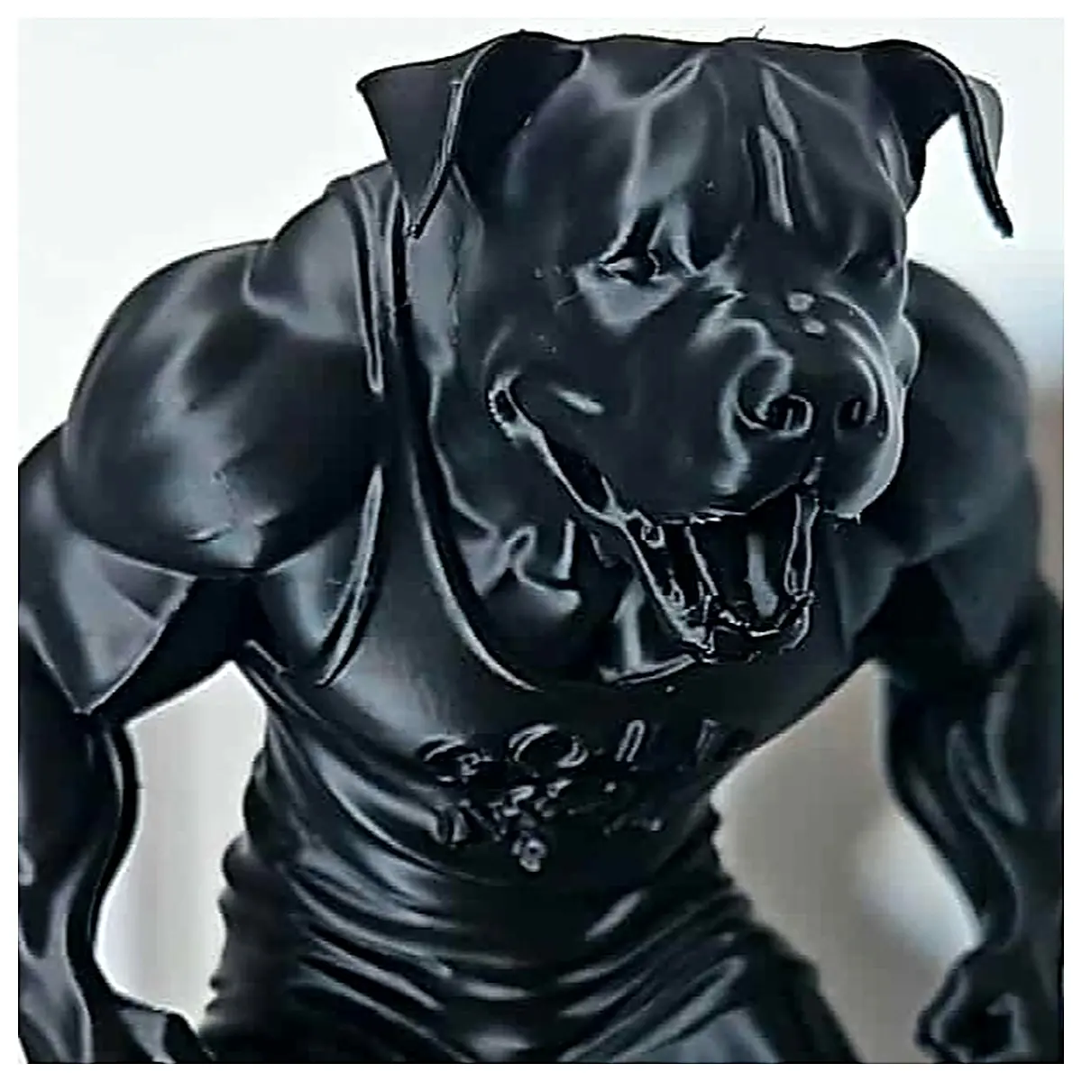 Pet Dog Nutrition Dog Food Dog Food Puppy Food Adult Food Treats Nutritional Supplements