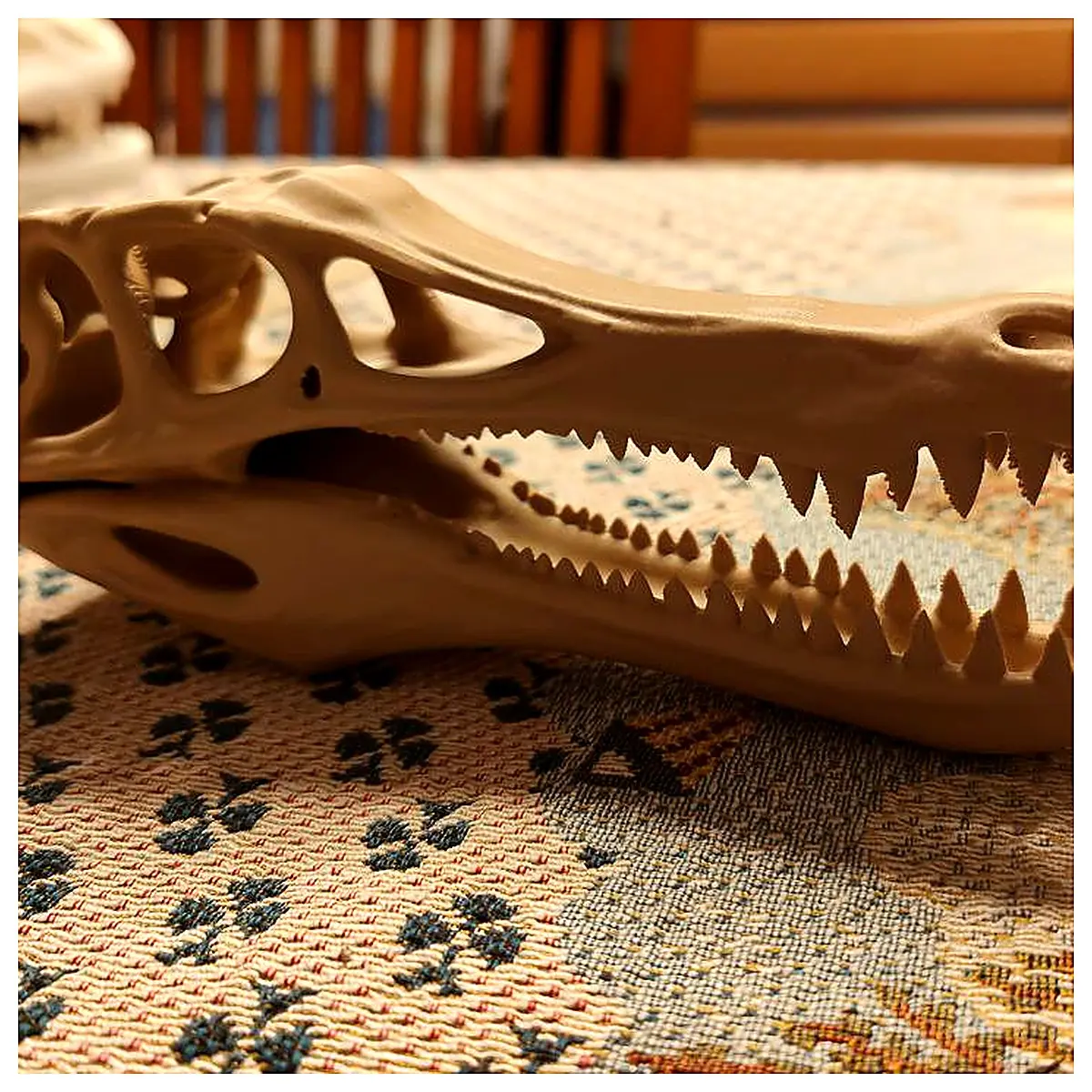 Thorn Head Skull Model Dinosaur Bone Jurassic Toy Dinosaur Collection Accessory Figure