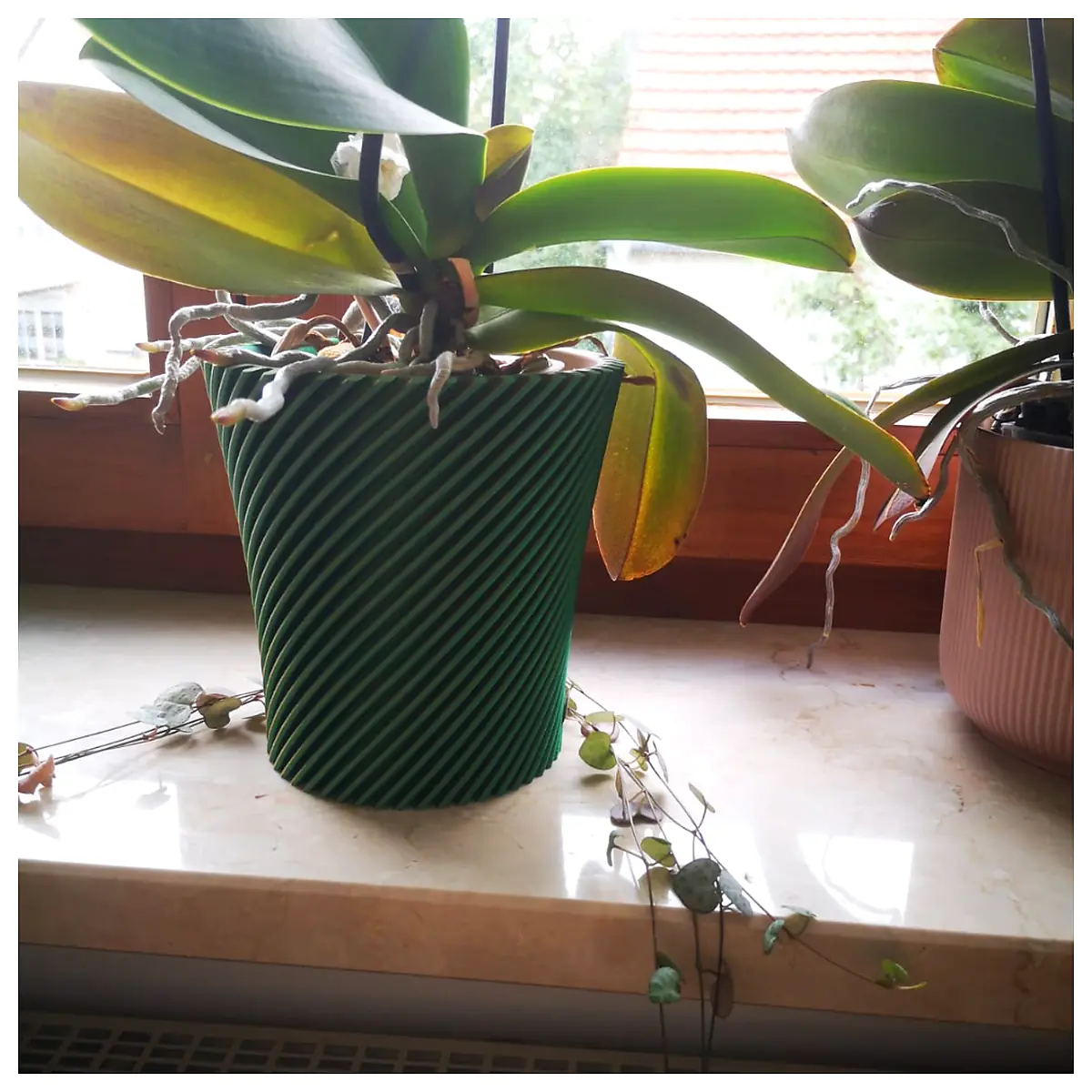 Orchid Pot Planter Vase Floral Container Succulent Pot Indoor Flower Vase Suitable for Various Plants