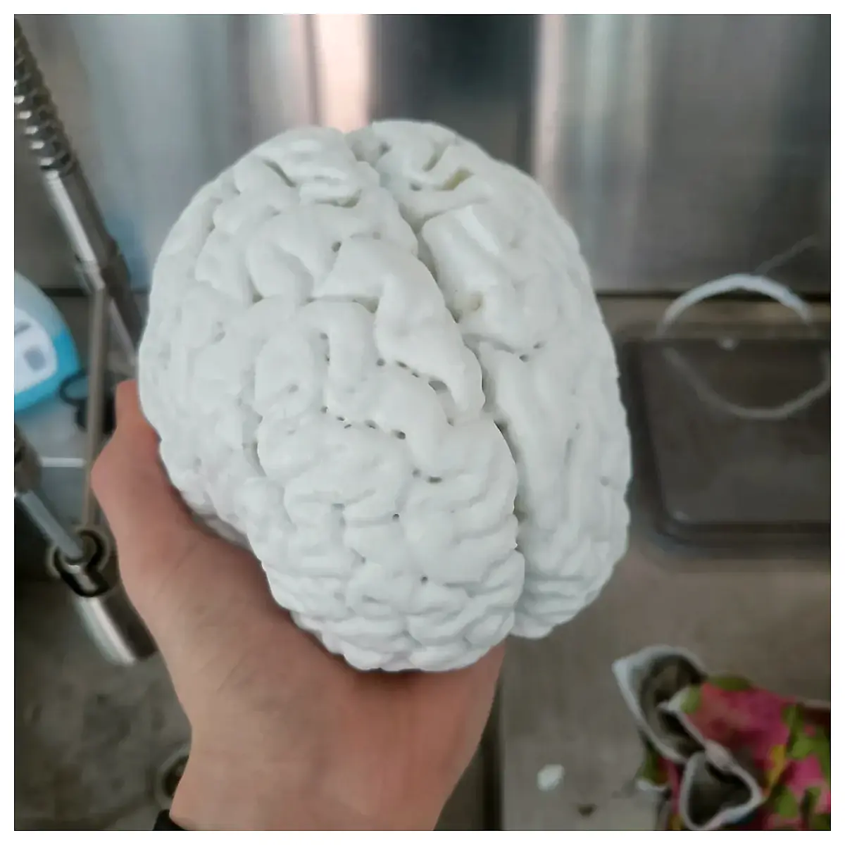 Brain Health Supplement Cognitive Enhancement Memory Boost Neuro Protection Mental Fatigue Relief Brain Nutrition Improve Enhance Learning Effic