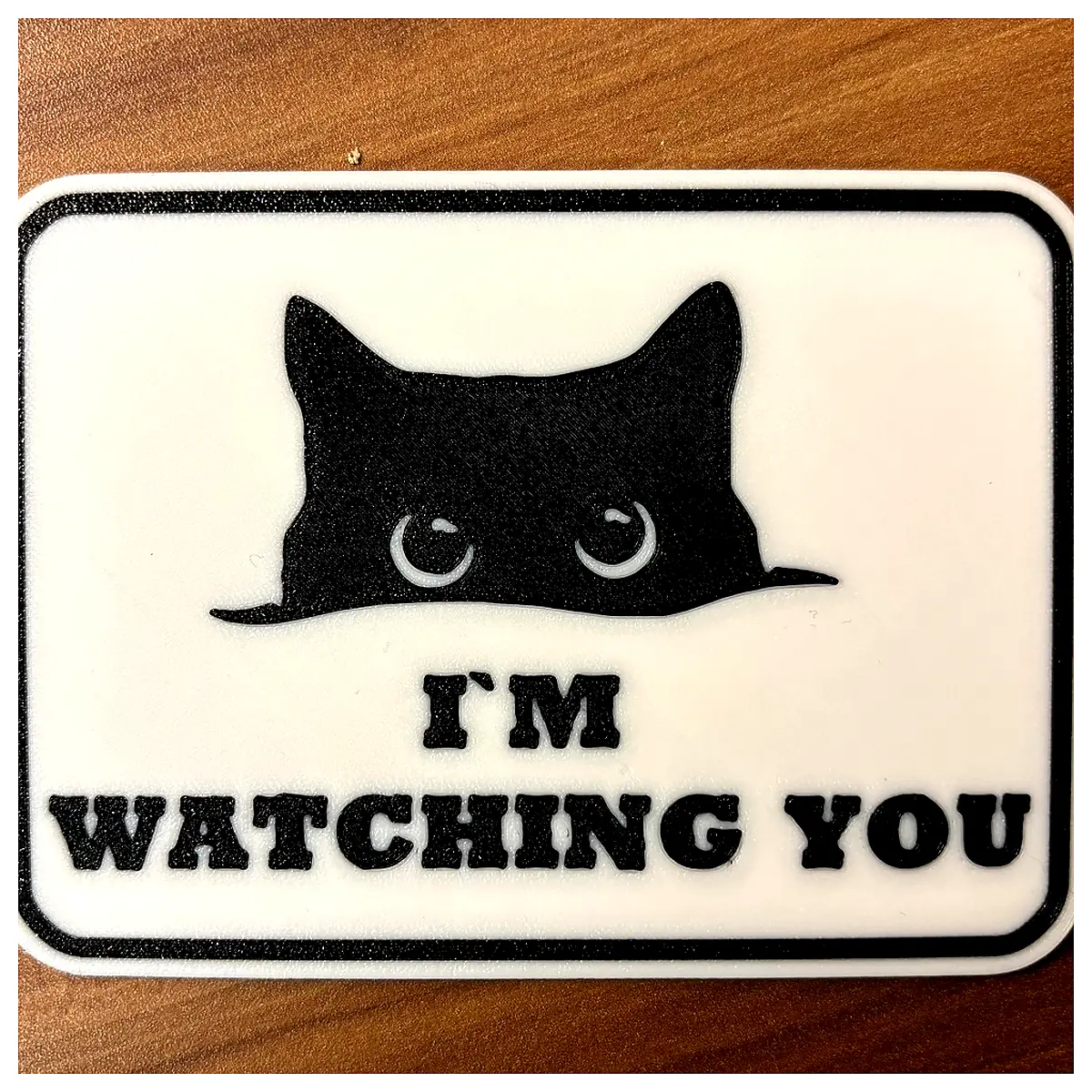 Funny Cat Watch You Sign Gift Decor Pet Humor Surveillance Cute