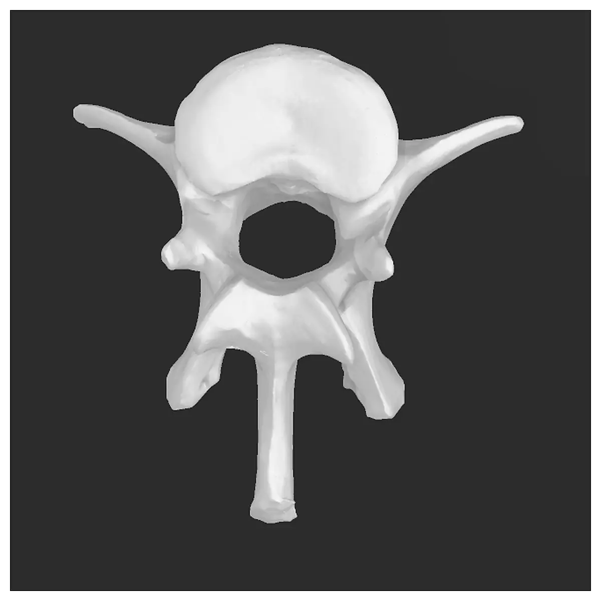3D Dog Scan Model Pet Toy Simulation Dog Outfit Pet Accessories Dog Supplies Simulation Dog Training Toys Pet Accessories