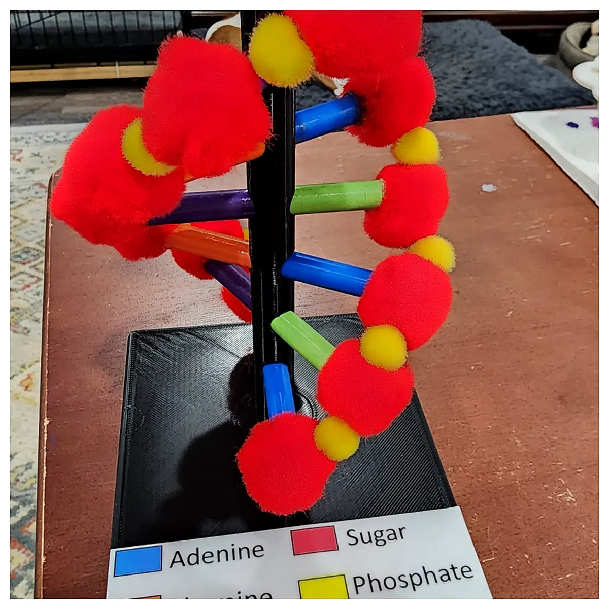 DNA Stand Rotating DNA Model Molecular Structure Display Educational Toy Research Tool Biology Experiment