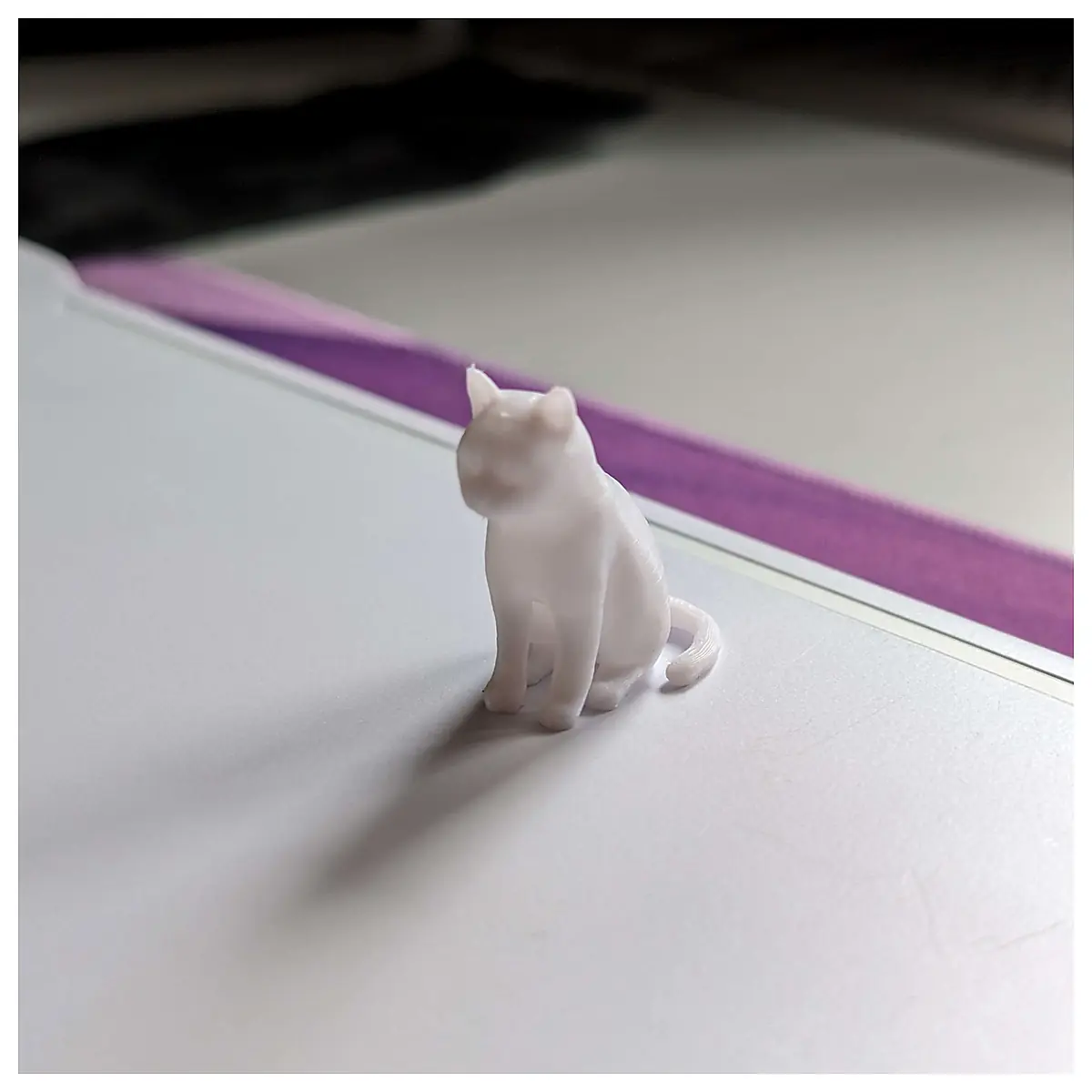 Sitting Cat Upright Pet Photography Cat Shooting Indoor Cats Upright Position Pet Photography Tips