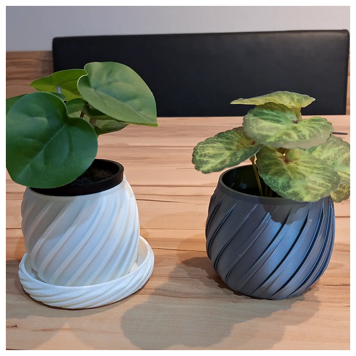 Plant Pot V2 Succulent Planter Pots Flower Pots Planting Pots Gardening Tools Outdoor Planters