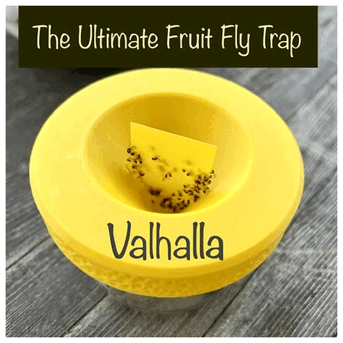 Fruit Fly Trap Eliminate Flies Fly Control Trap Sticky Fly Catcher Home Pest Control