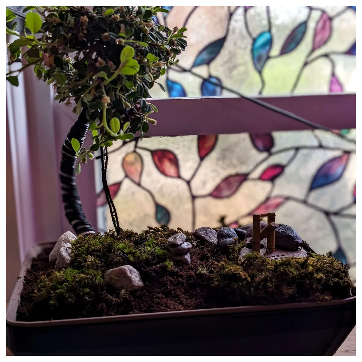 Self Watering Planter Bonsai Indicator Automatic Plant Watering System Soil Sensor Plant Pots Gardening