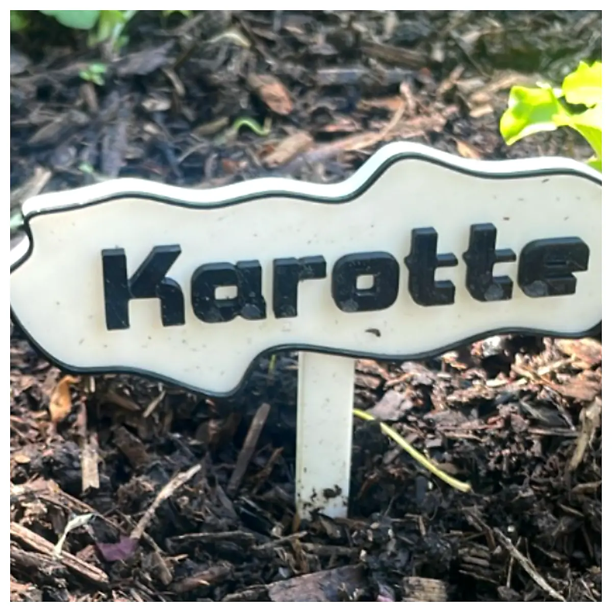Plant Identifier App Plant Recognition Tool Identify Plants Photo Scanner Plant ID Gardening App