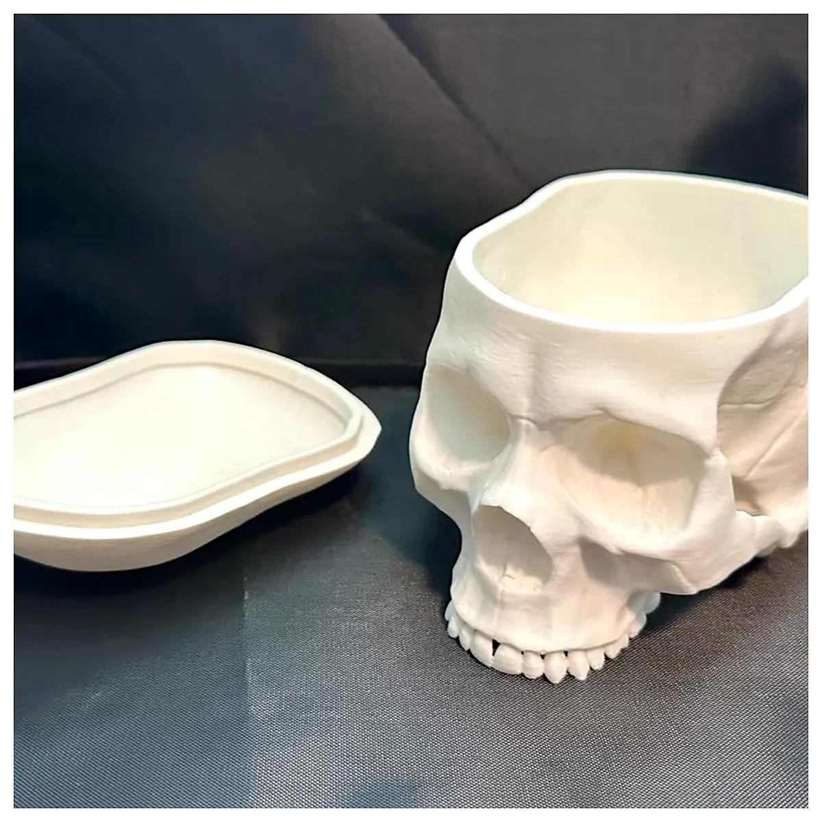 Gothic Skull Bowl Container Trinket Holder Skull Decor Bone Craft Skeleton Parts Universal Repair Antique Black