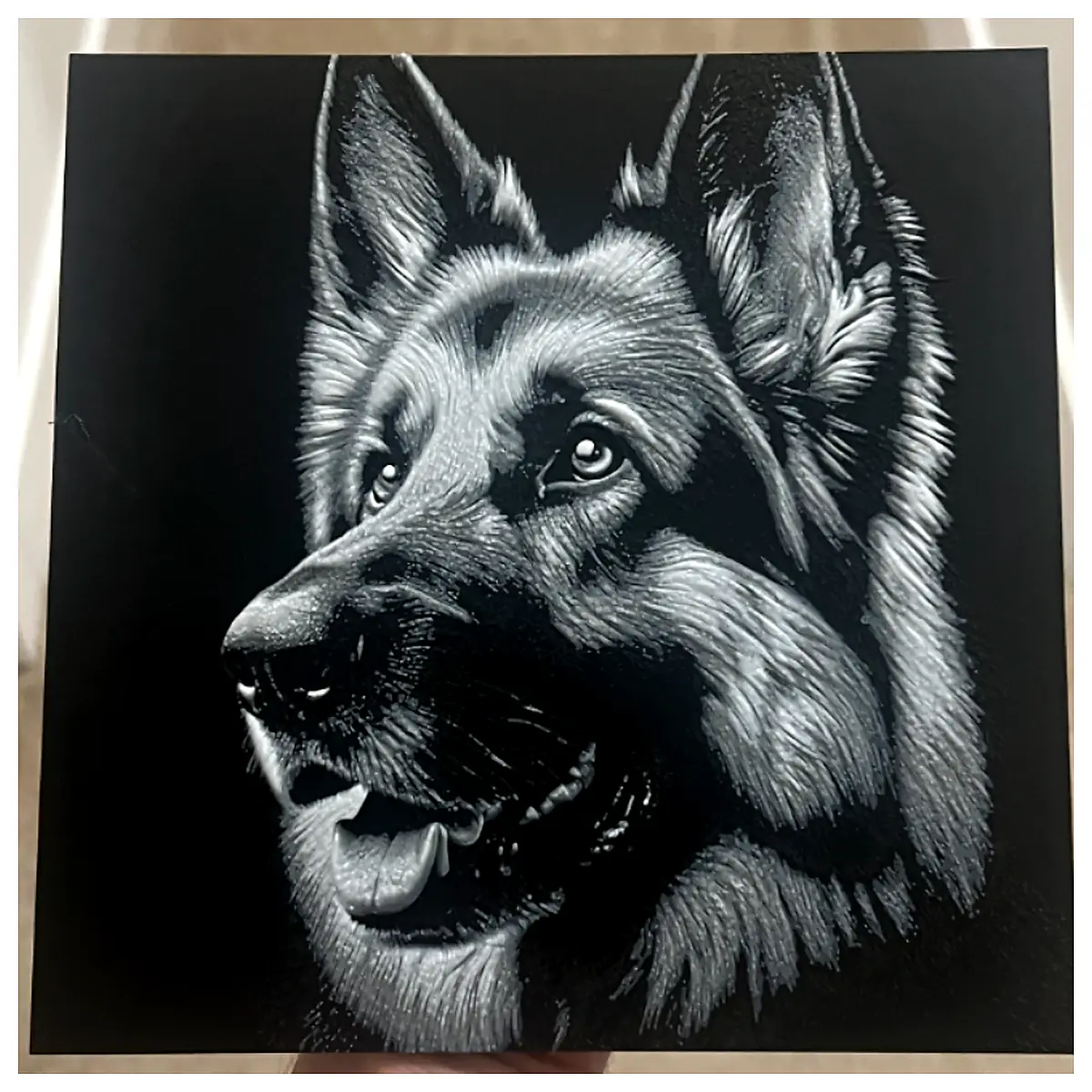 German Shepherd Dog Pet Dog Training Puppy Toys Treats Dog Food Dog Accessories Dog Supplies