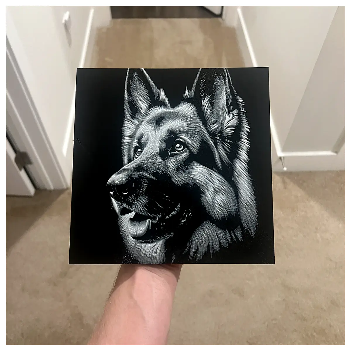 German Shepherd Dog Pet Dog Training Puppy Toys Treats Dog Food Dog Accessories Dog Supplies