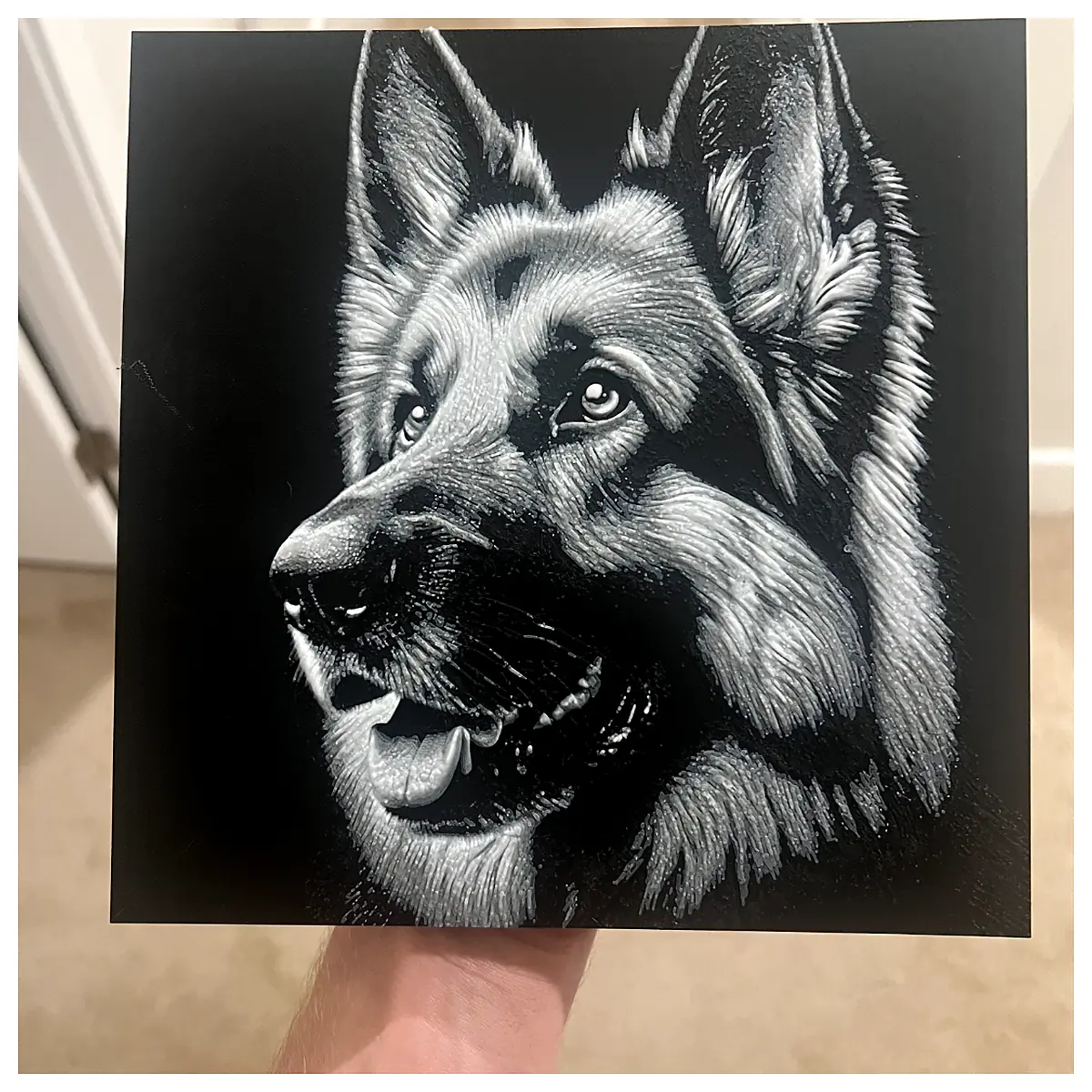 German Shepherd Dog Pet Dog Training Puppy Toys Treats Dog Food Dog Accessories Dog Supplies