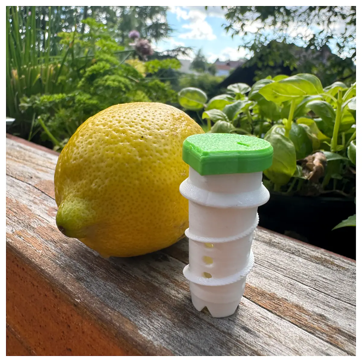 Lemon Juicer Drink Maker Juice Extractor Flavor Enhancer Kitchen Gadget
