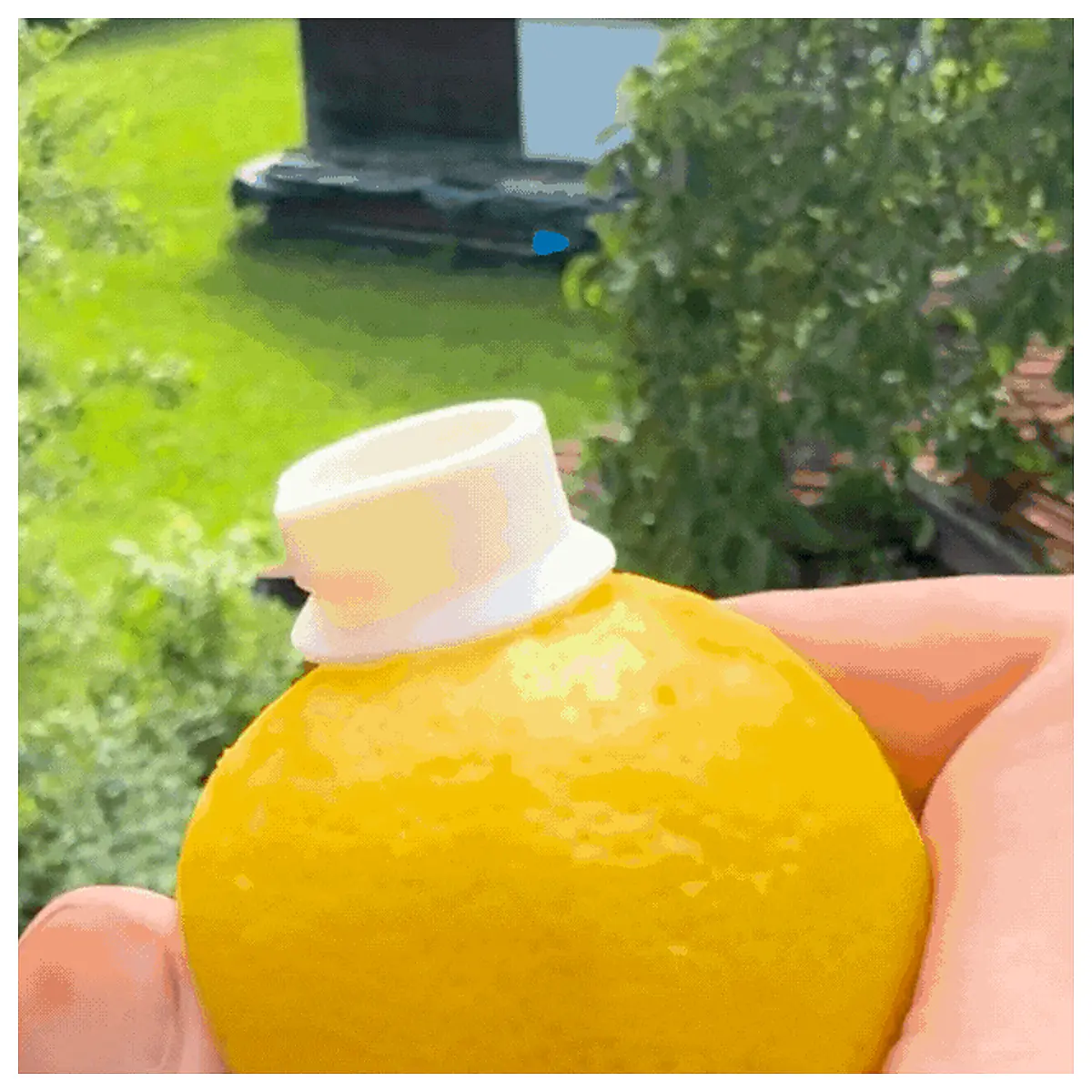 Lemon Juicer Drink Maker Juice Extractor Flavor Enhancer Kitchen Gadget