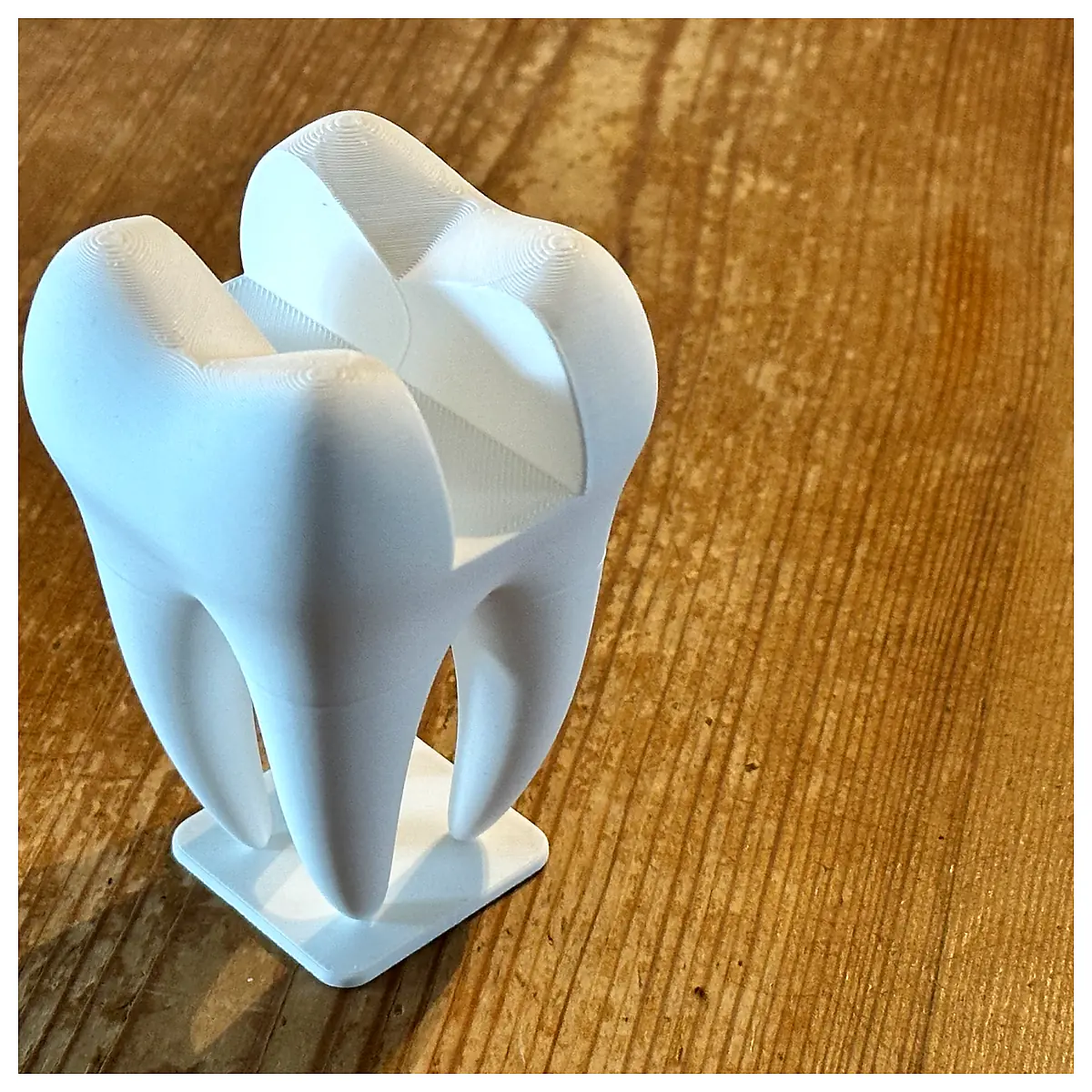 Dentist Business Card Holder Dental Card Organizer Dental Tools Accessories Dental Office Teeth Care