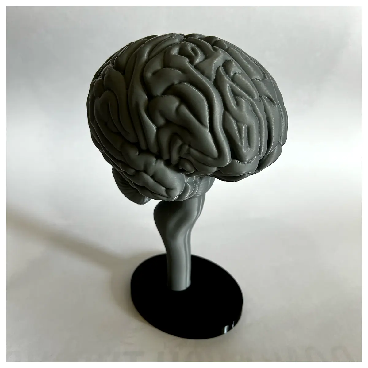 BRAIN Head Neck Brain Muscle Relaxation Headache Relief Head Neck Care Nerve Stimulation