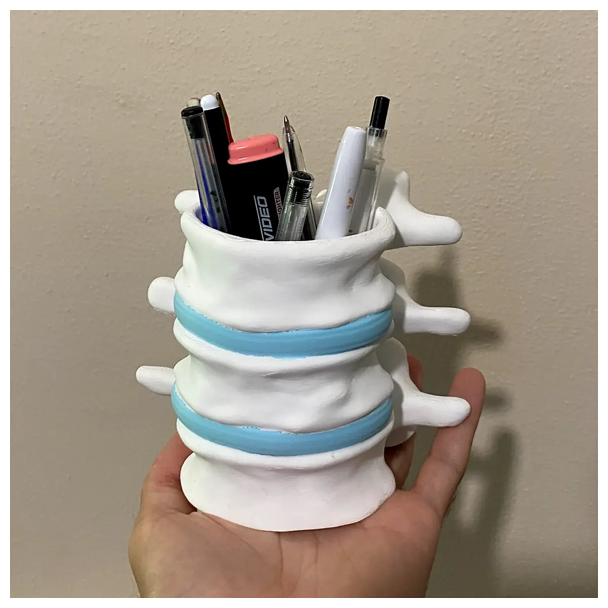 Vertebrae Inspired Pen Holder Spine Support Ergonomic Writing Rest Wrist Protection Desk Organizer Accessory