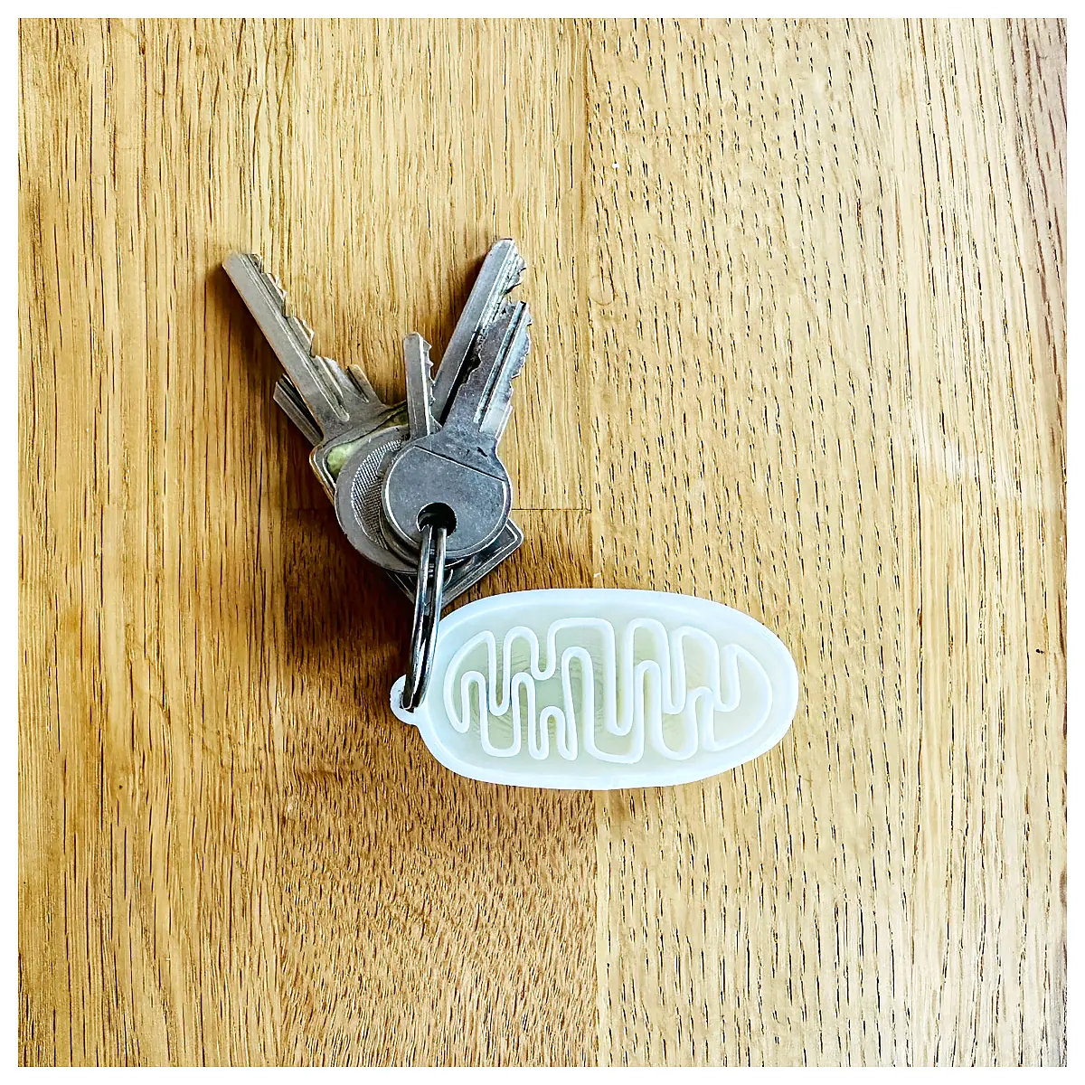 Mighty Mitochondria Key Fob Cellular Energy Support Cell Health Cell Nutrition Cell Repair Cell Research Cell Biology Biochemistry