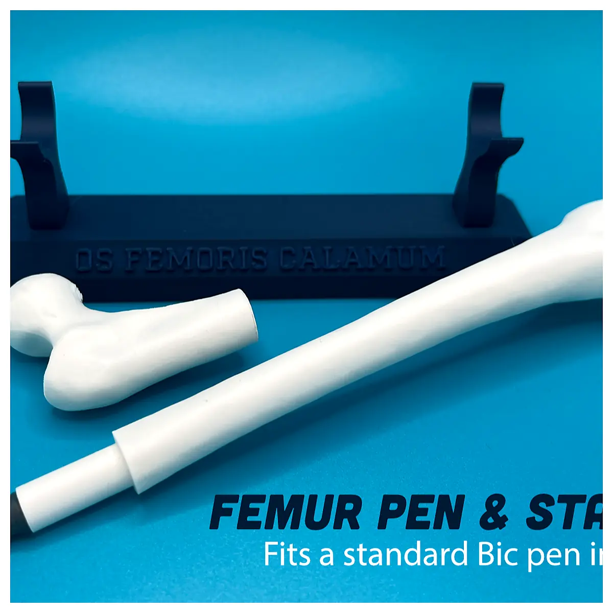 Thigh Bone Pen Model Art Supply Skeleton Drawing Tool Educational Model Anatomy Study