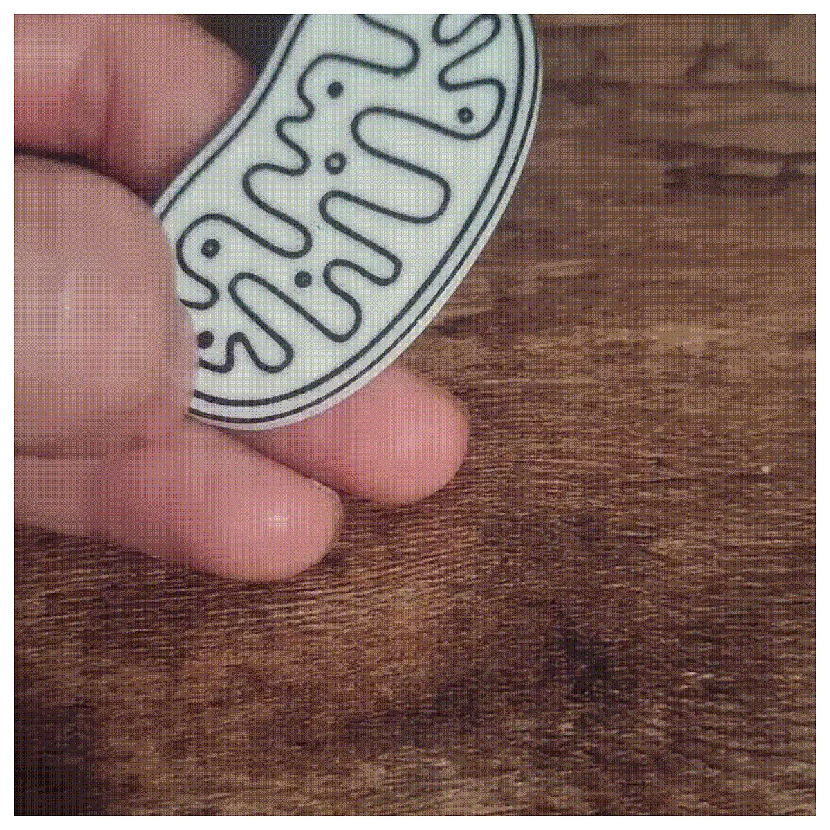 Mitochondria Keychain Cell Biology Gift Science Jewelry Research Accessory Great for Students Teachers