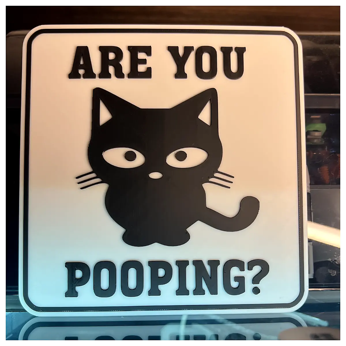 Funny Pooping Cat Sign Warning Humor Pet Decor Toy Gift