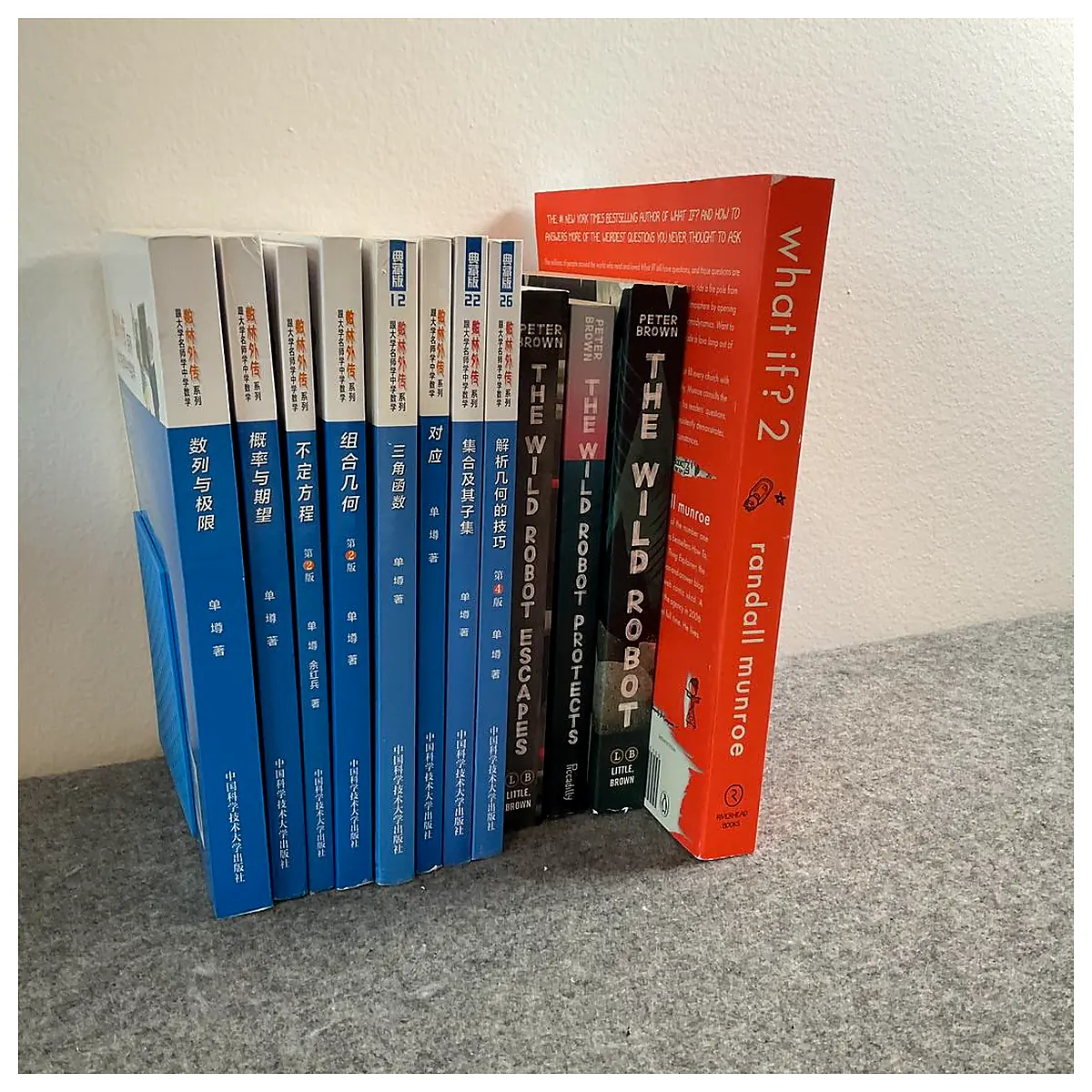 Bookends Decorative Wall Shelves Minimalist Modern Wall Mount Storage Parts Repair Accessories