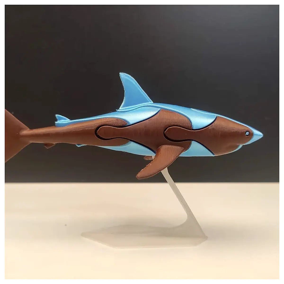 Shark 3D Puzzle Shark Model Assembly Toys Brain Teaser Puzzles Fun Crafts 3D Puzzle