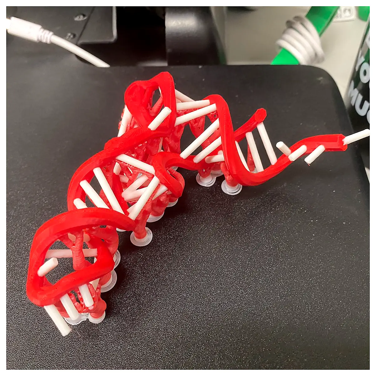 tRNA 3D Model PDB 1TRA Ribosome Anticodon Transfer Translation Molecular Biology Genetics Experiment