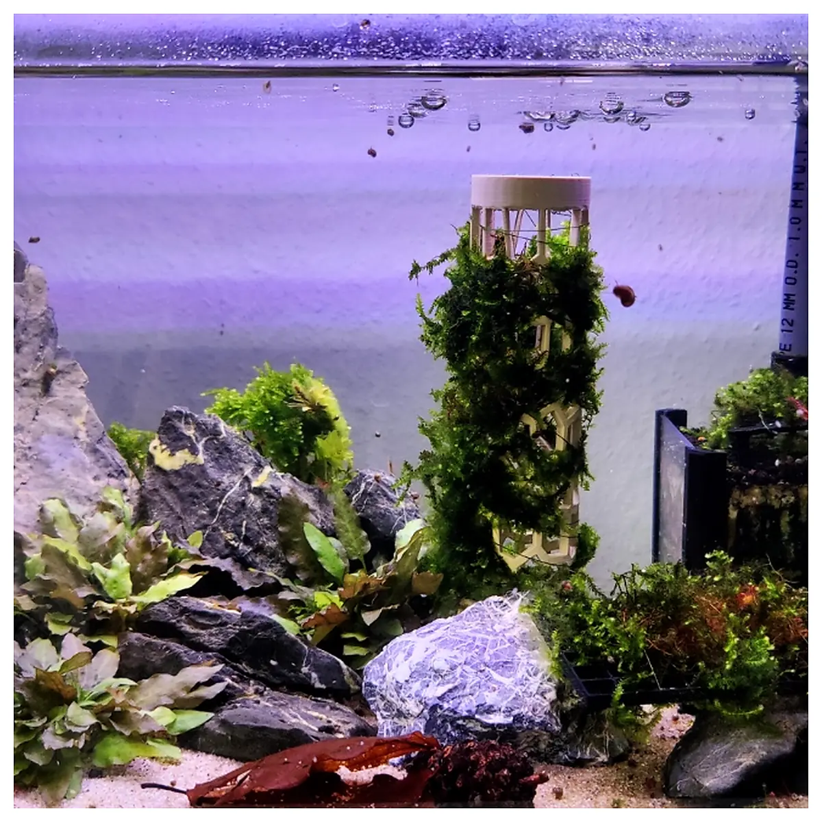 Aquarium Dome Glass Cover Fish Tank Decoration Aquarium Parts Maintenance Upgrade Ornamental Fish