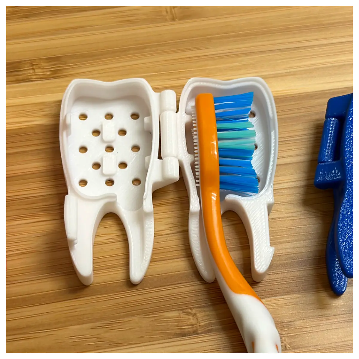 Travel Toothbrush Case Organizer Portable Brush Holder Protection Travel Case for Toothbrush Accessories