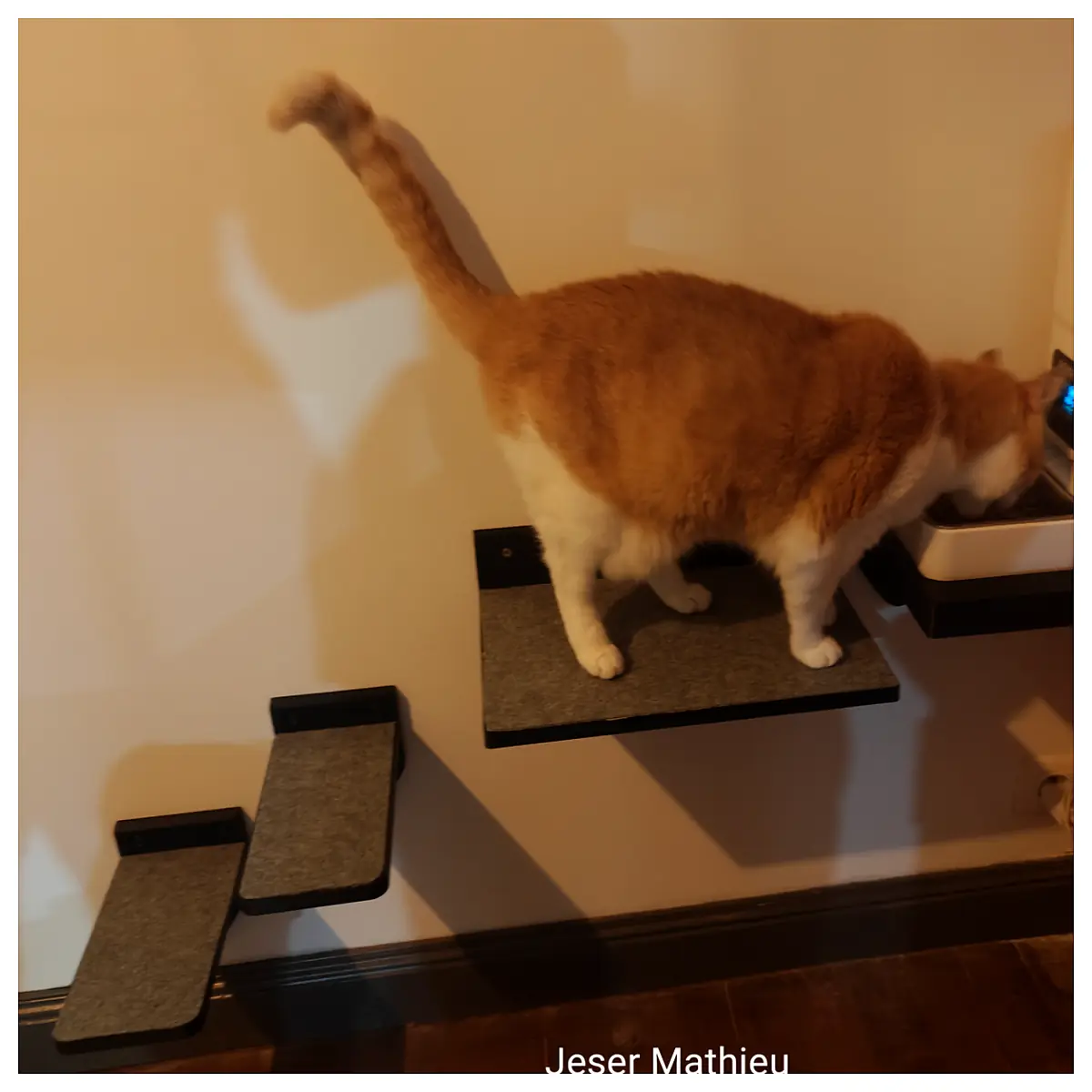 Cat Steps Pet Ladder Indoor Cat Tree Staircase Pet Furniture Multi Level Cat Steps Suitable for Cats Home Cat Shelves