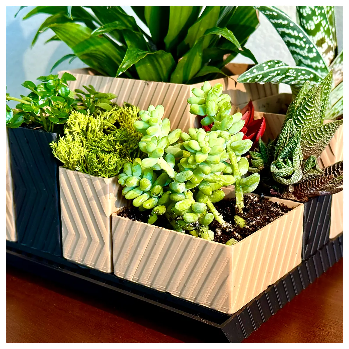 Gridfinity Modular Planter System Storage Shelves Organization Desk Storage Multi Grid Planters Parts