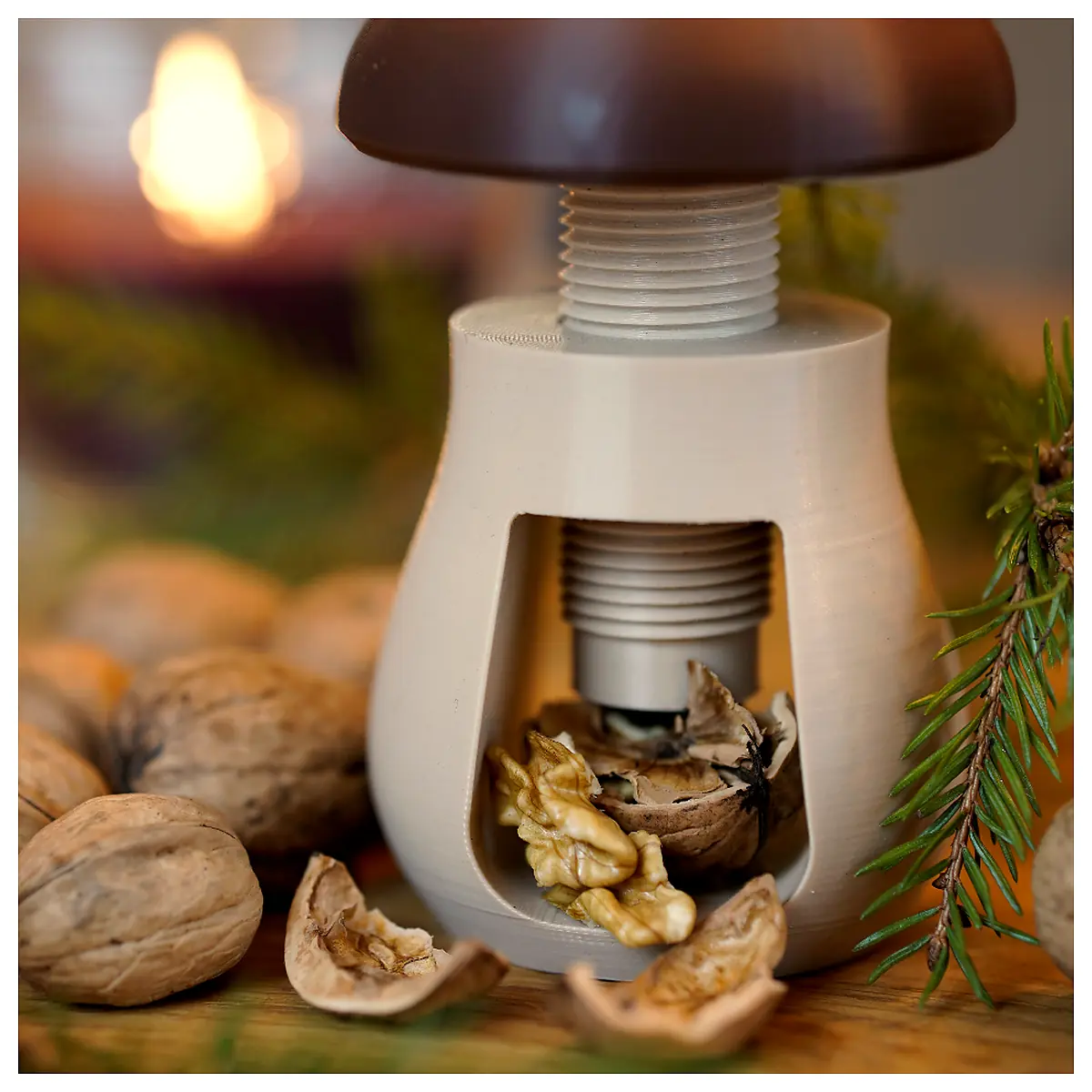 Nutcracker Mushroom Supplement Multi Purpose Health Food Mushroom Nutrition Boost Immunity Mushroom Extract Supplement