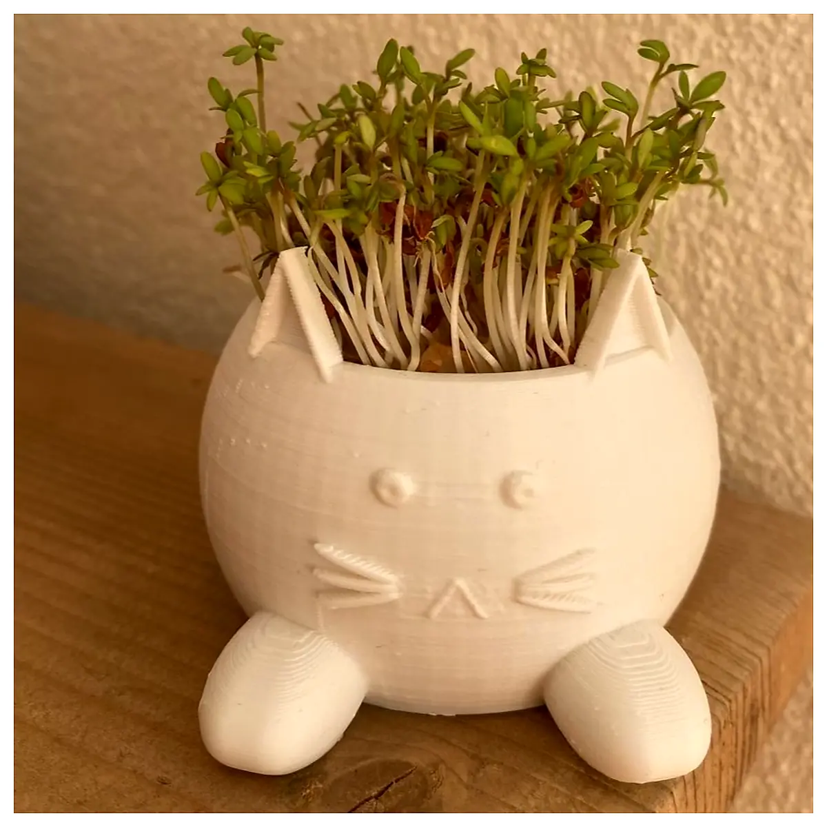 Cute Cat Planter Adorable Cat Planter for Succulents Flowers Indoor Plants Cat Decoration Garden Accessory Pet Pot Floral Container Plant Pot Accessor