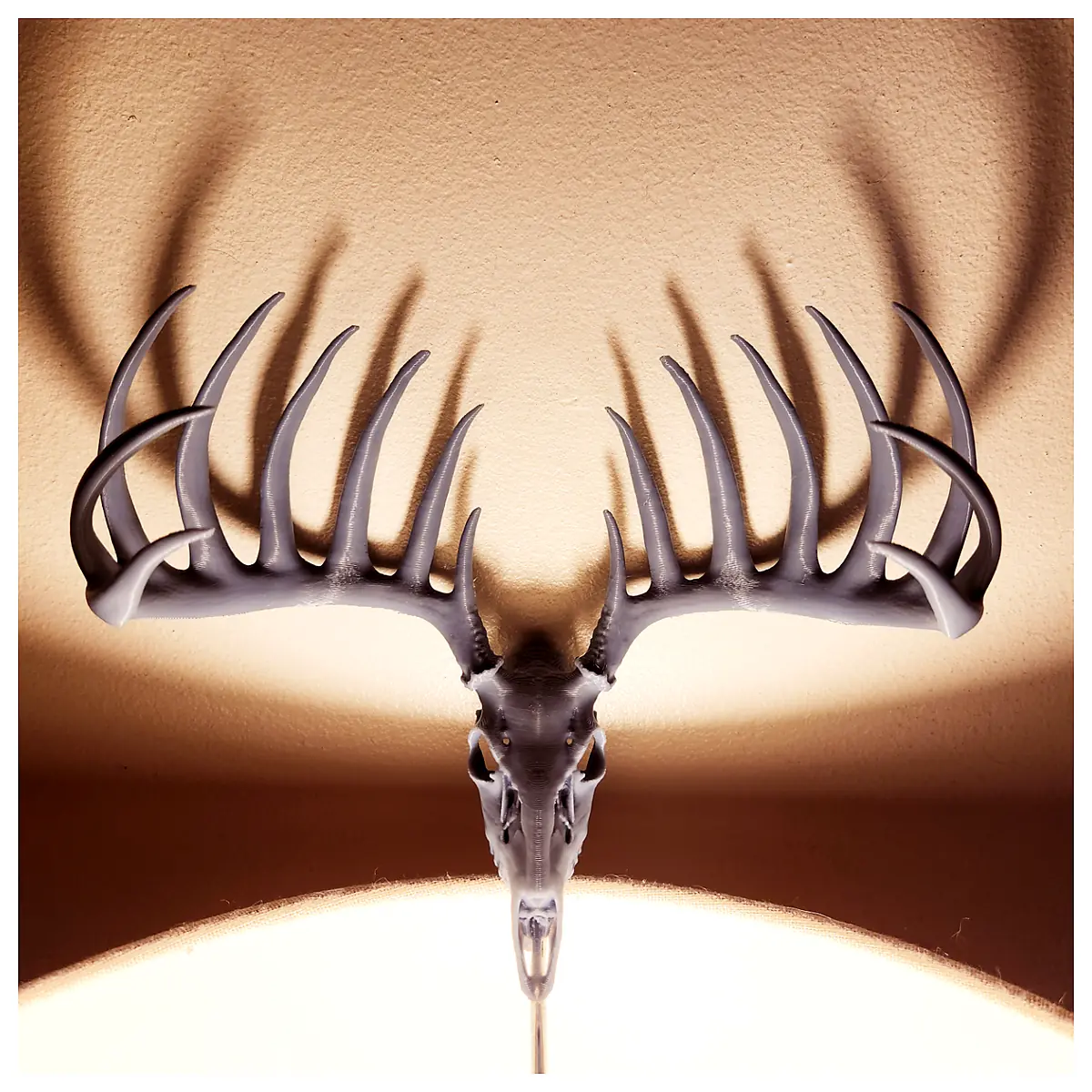 Big One Deer Skull Decoration Specimen Art Piece Memorial Museum Collection Hunter Large