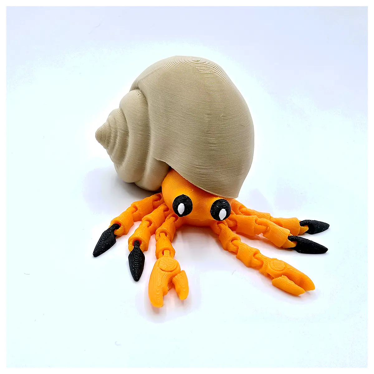 Hermit Crab Care Shell Repair Modification Universal Accessories Parts