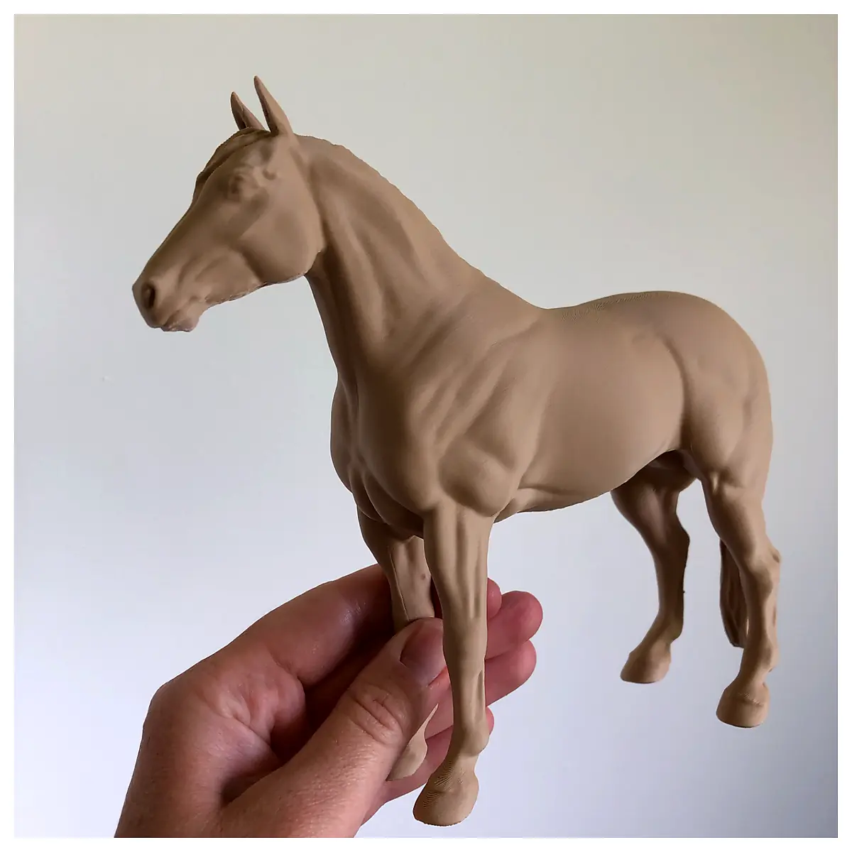 Practice Horse Riding Training Equipment Horse Training Parts Repair Training Accessories Universal Riding