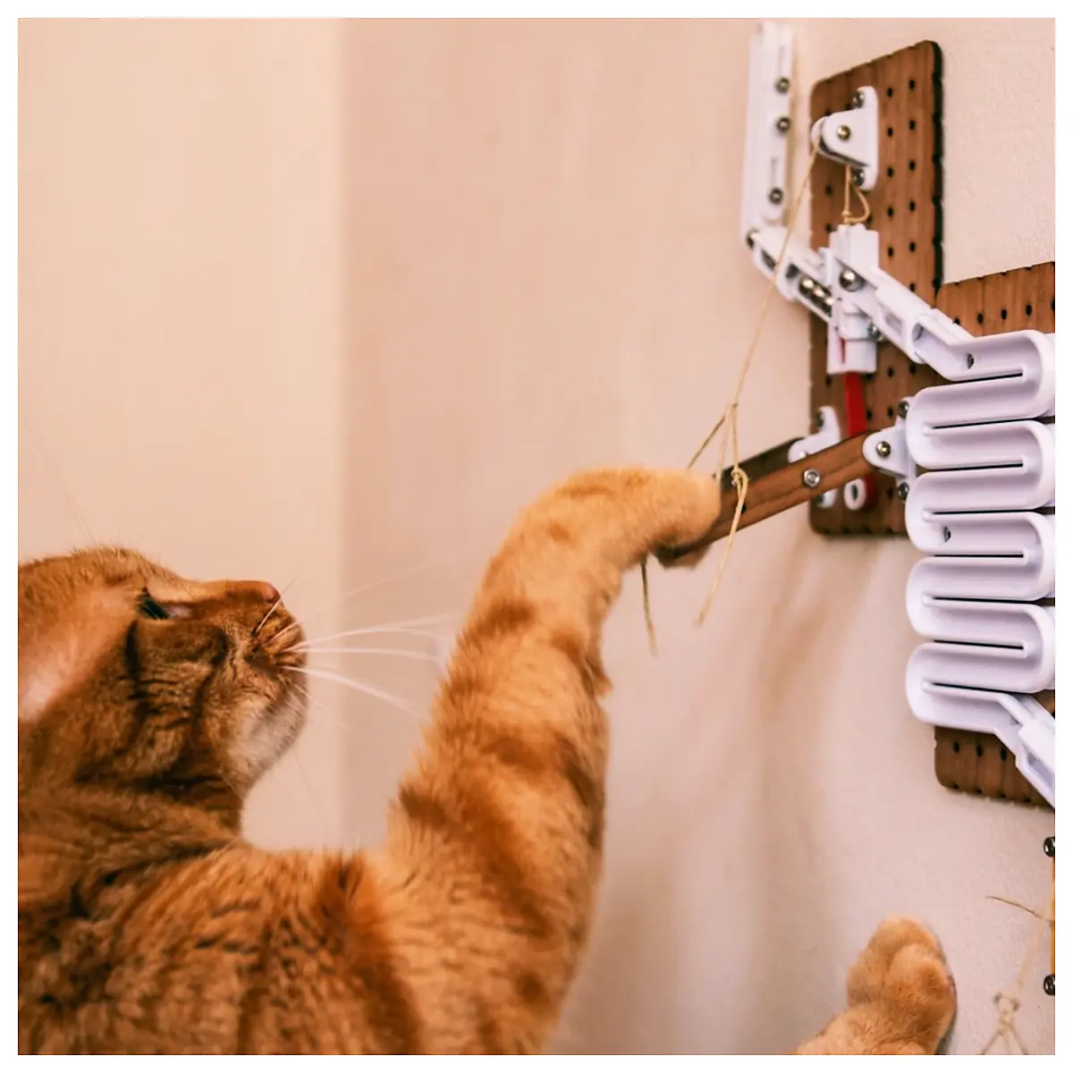 Cat Toy Automatic Feeder Marble Run Puzzle Feed Dispenser Interactive Play Cat Treat Dispenser