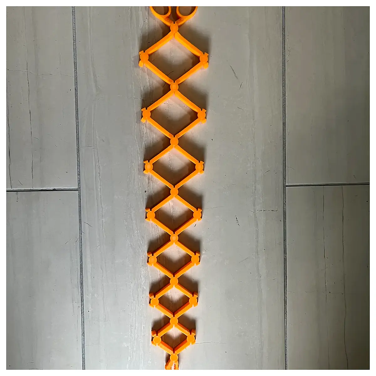 Scissor Snake Venomous Reptile Slithering Pet Care Snake Breeding Hunting