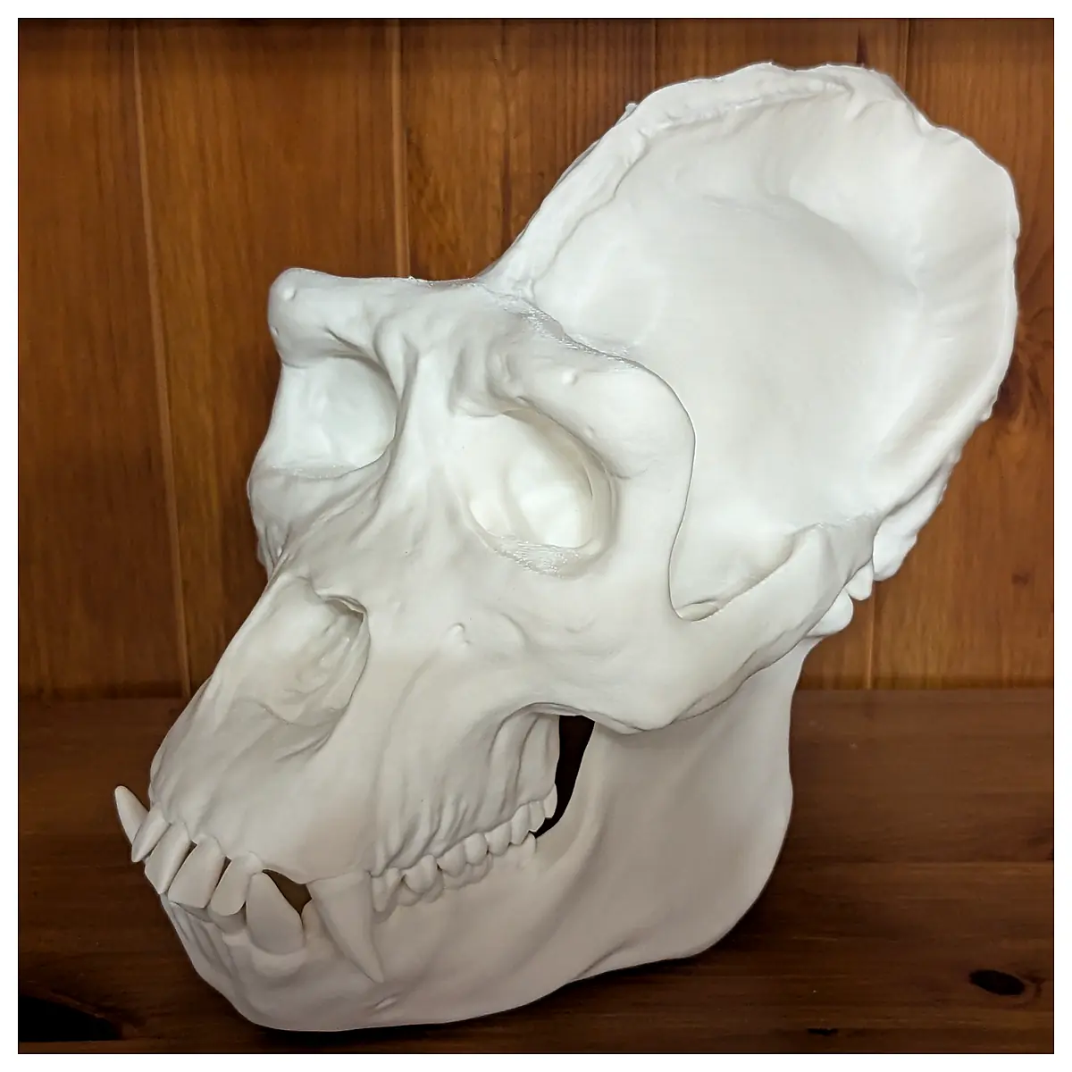 Skull Model Dinosaur Bone Decor Skeleton Display Art Piece Ornament Animal Bone Decoration Realistic Bone Decor