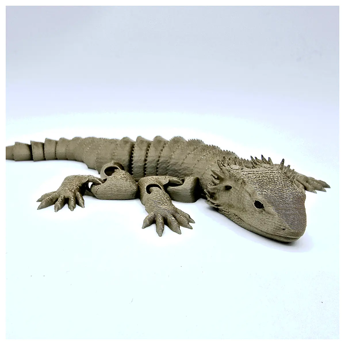 Flexible Bearded Dragon Enclosure Dragon Lizard Parts Dragon Care Dragon Feeding Dragon Equipment Reptile Supplies