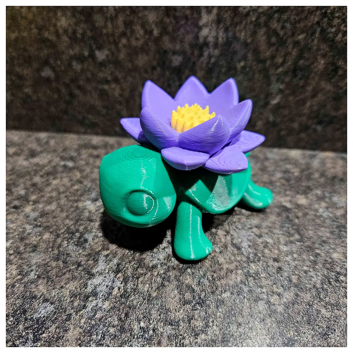 Flower Turtle Pet Toys Interactive Puzzle Training Accessories Reptile Toys Pet Supplies