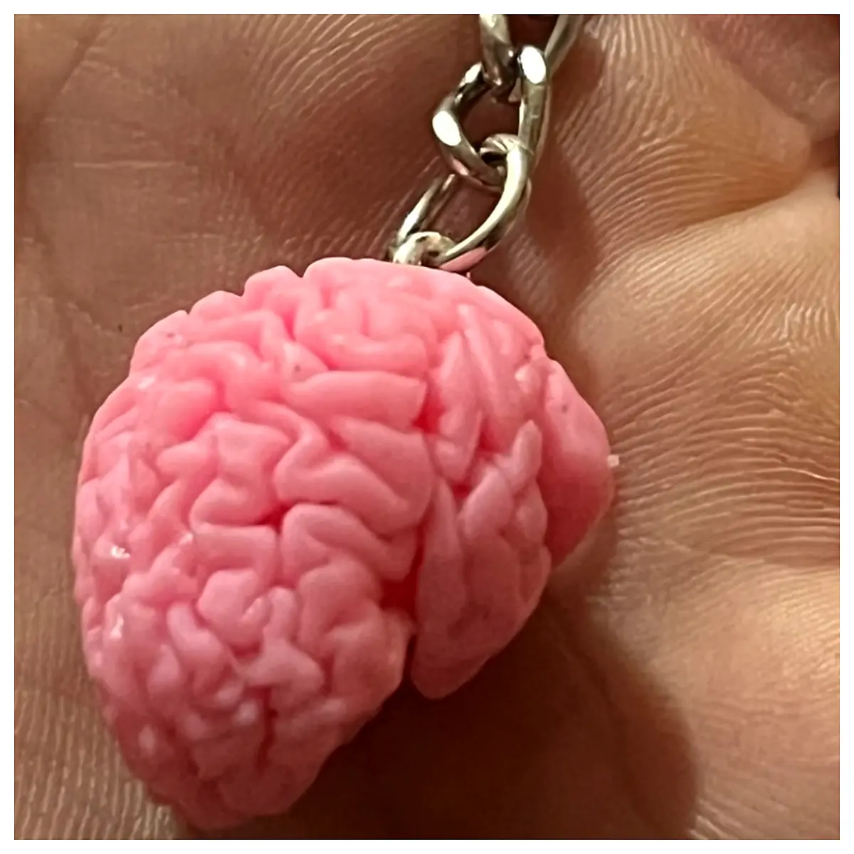 Brain Keychain Memory Aid Keychains Smart Keychains Creative Brain Boosters Memory Improvement Key Accessories