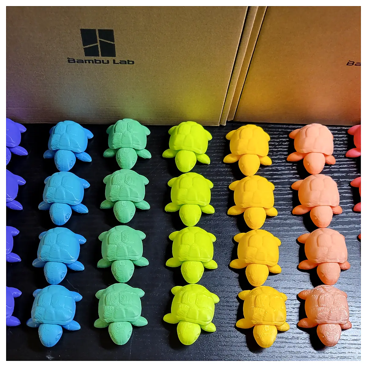 Tiny Turtles Kids Toys Educational Toys Early Learning Toddler Toys Fun Learning Games