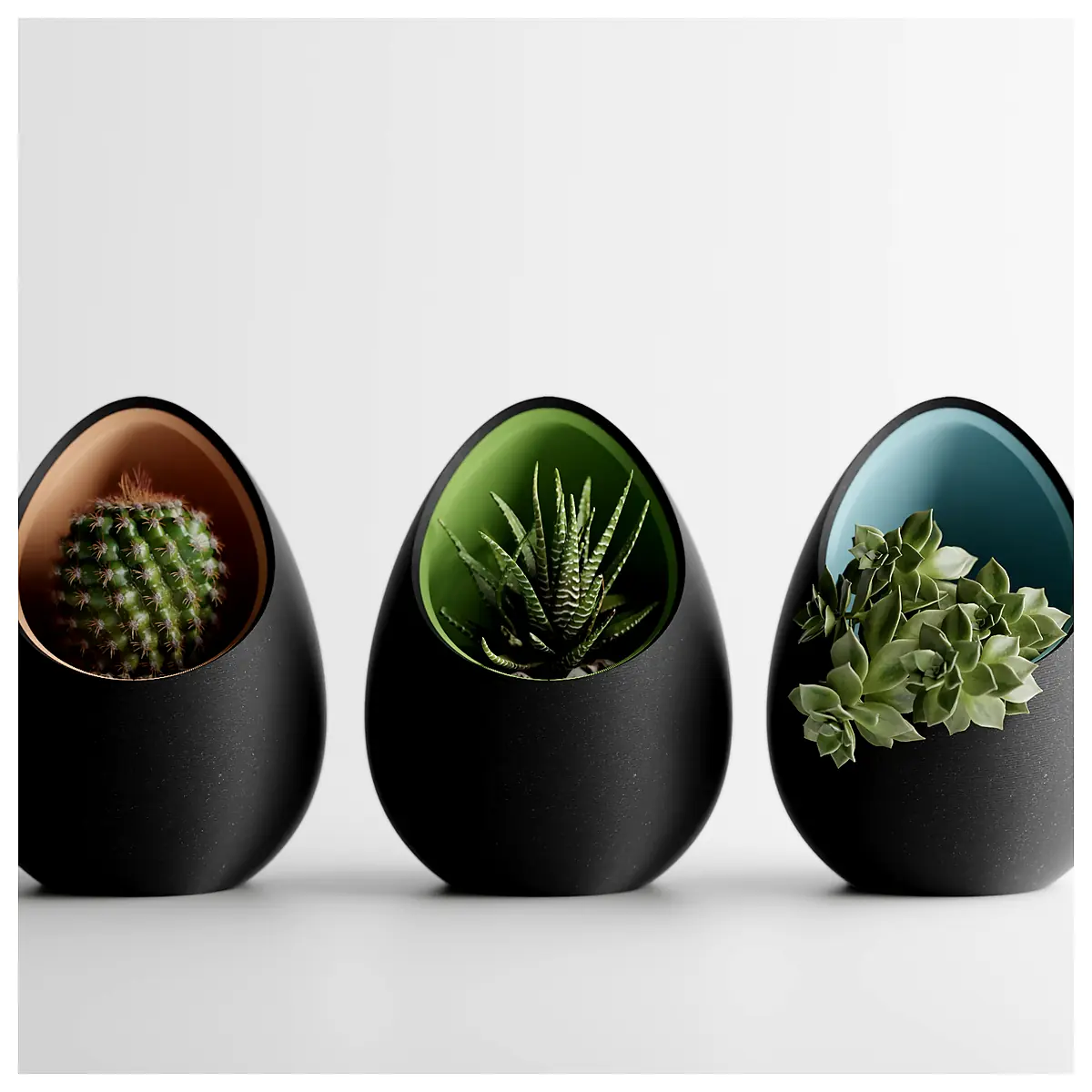 Planter Pot Growing Indoor Plants Flower Pots Succulent Container Gardening Tools Plant Accessories