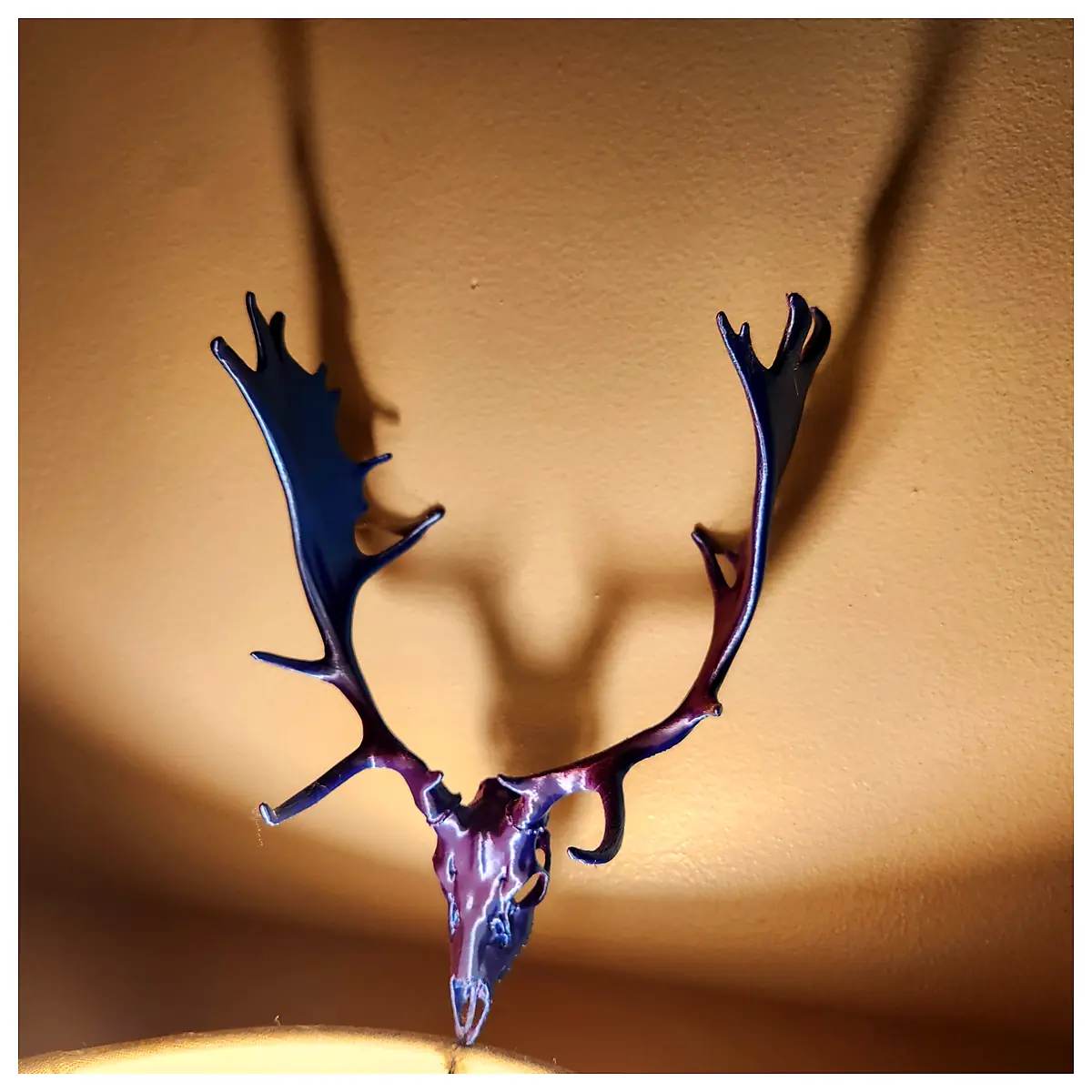 Fallow Deer Skull Hunting Trophy Taxidermy Display Home Decor Skull Art Bone Sculpture Animal Model Natural Display