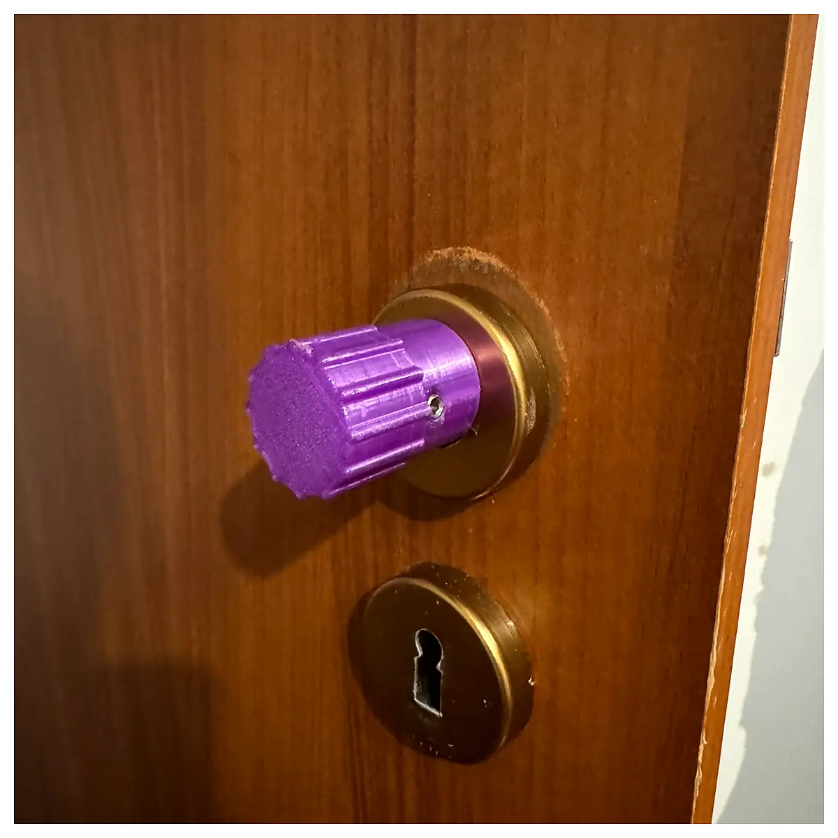 Cat Rotating Door Lever Won t Open Replacement Parts Accessories Upgrade Pet Spinners